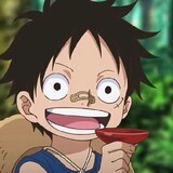 Monkey.d.luffy(kunn)