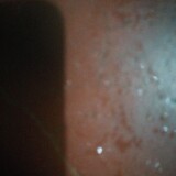 MDshagor174