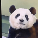tianye_____a