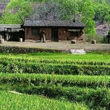 niuguafenxiang