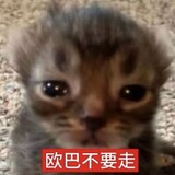 bieqifunangua