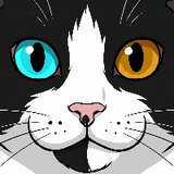 angelusogato