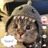 ไอต้าวน่ารัก0138
