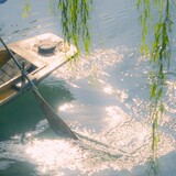 zuiyinqingchuan
