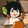 tiechuishuorou
