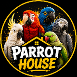 Parrot House