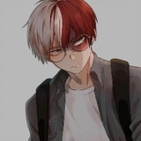 todoroki124
