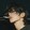 qinshu-
