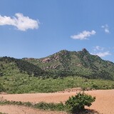 taiduoni