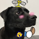 zuolu_____xue_