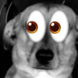 Luisarvoid