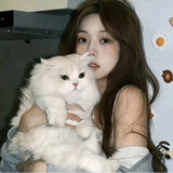 xiannvfeitianji