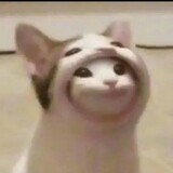 zuilide___formoger