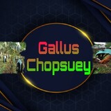 GallusChopsueyTV