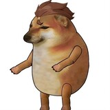 c___msdaniqiu