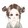 danzaixiaoxiaoyu