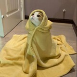 tralazhangyushao