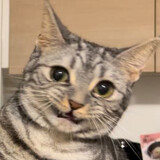 jacerror