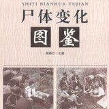 shibiantujian