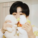 halcyon_songyaxuan
