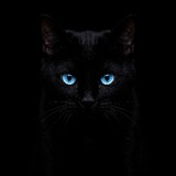 Gato Negro