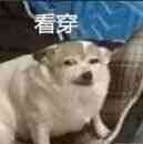xiaobingzhang
