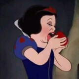plum_zj
