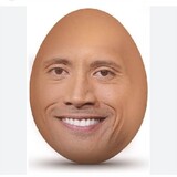 eggdadar