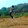 bili_1161433520