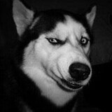 zhuboshenshishanshan