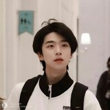 -shanhai-