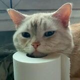 wangruanruanruanruan