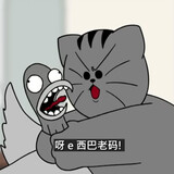 zhidou___baebea