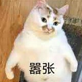 lanmeijun_