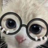 yipaoxishi