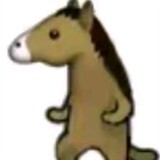 niaoshenhema