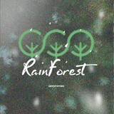 rainforest-zhangzeyu
