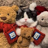 -moximoxi-