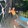 Princess Alivio_9831