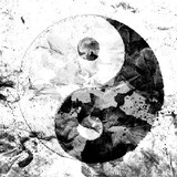 shoucangpin-1hao