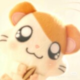 lvlvqqqq