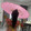 mengmengyingshi006