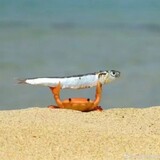 siciyuanli___