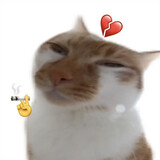 ___memepidan