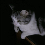 asyncio_