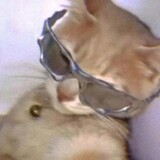 ika_____