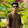Musharaf_Hossain