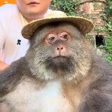 ฟีมนะจะ