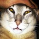 creator avatar