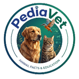 Pedia Vet